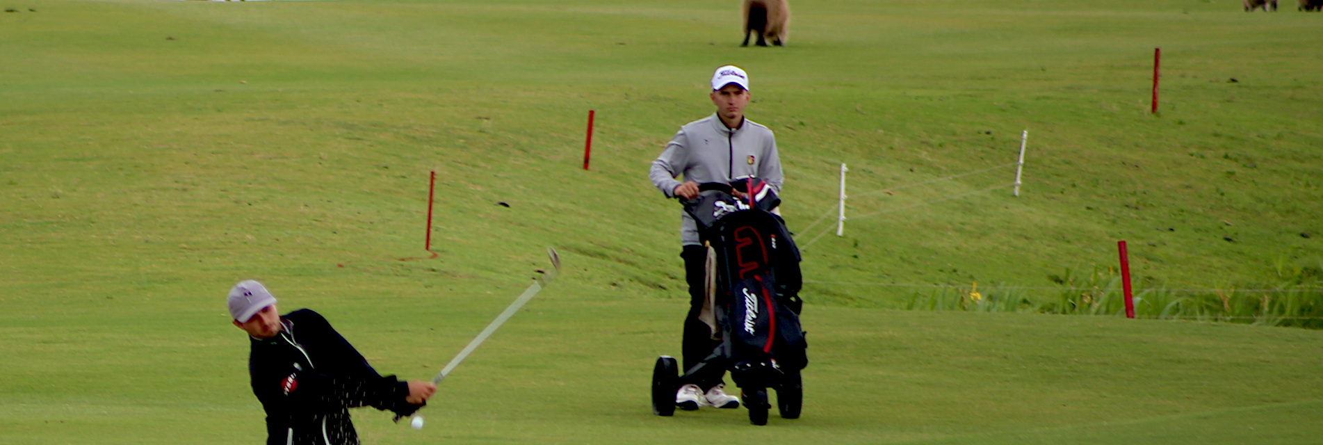 Compétition de golf