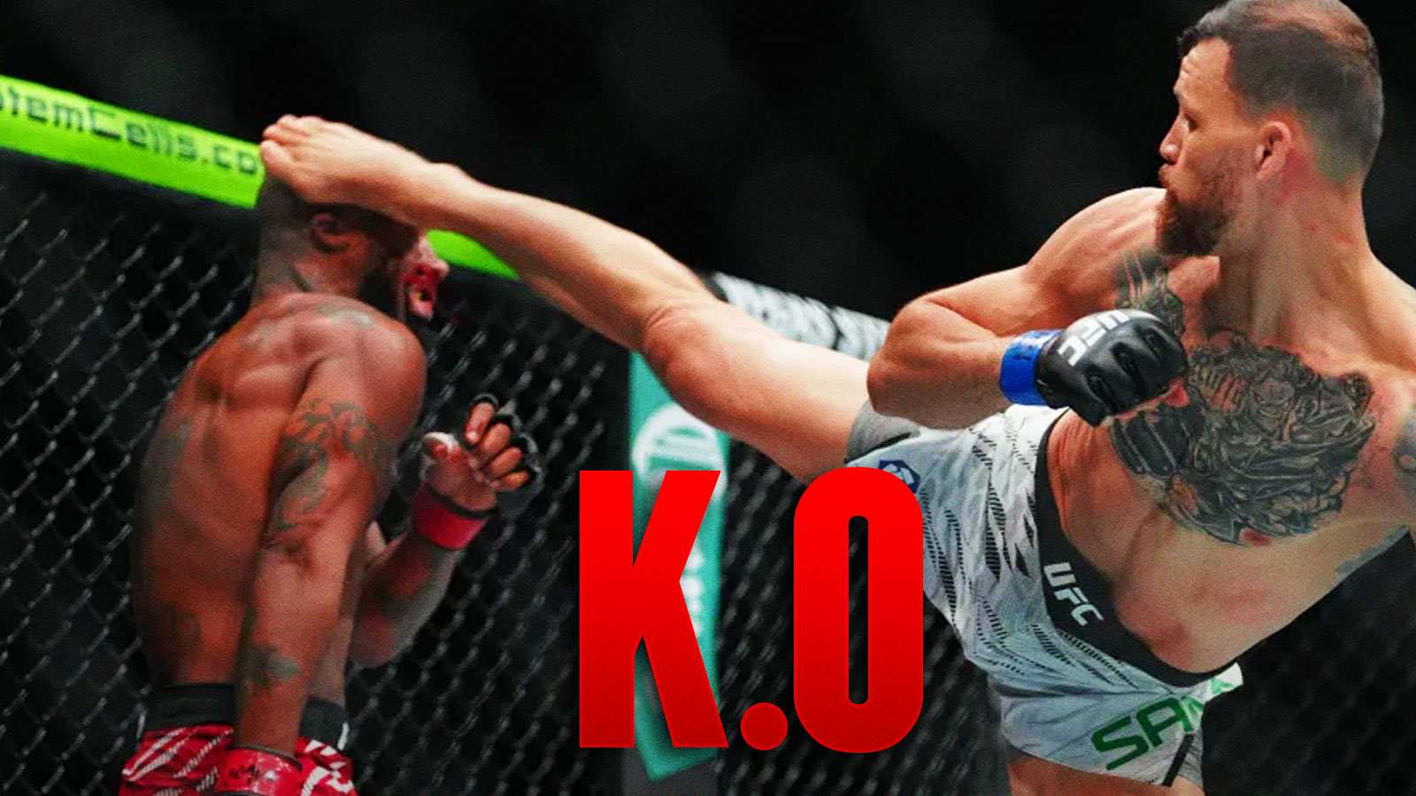 Les Meilleurs KOs de l'UFC en 2025 : Classement Époustouflant !