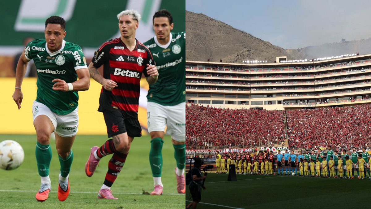 Zinho dévoile le gouffre entre Flamengo et Palmeiras pour la finale de la Libertadores !