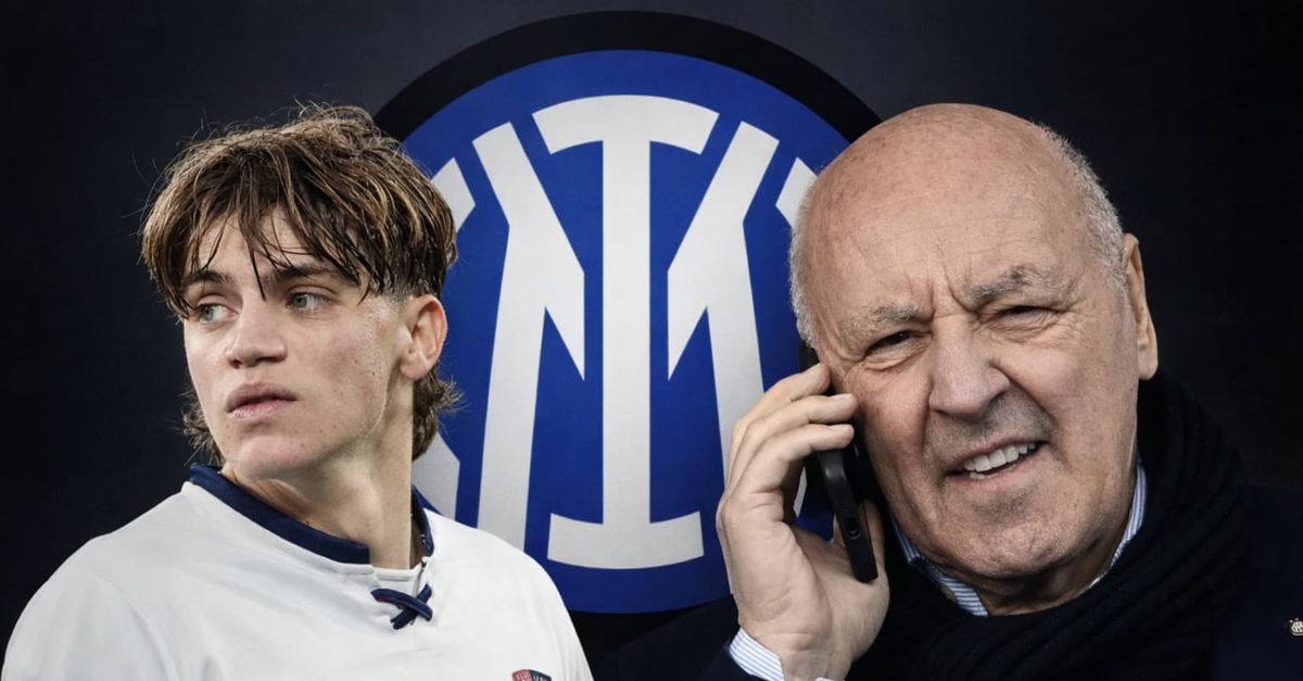 Inter Molla Palestra : Découvrez le nouvel élu de l’été !
