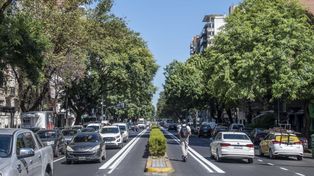 Rénovation de l'avenue Pellegrini