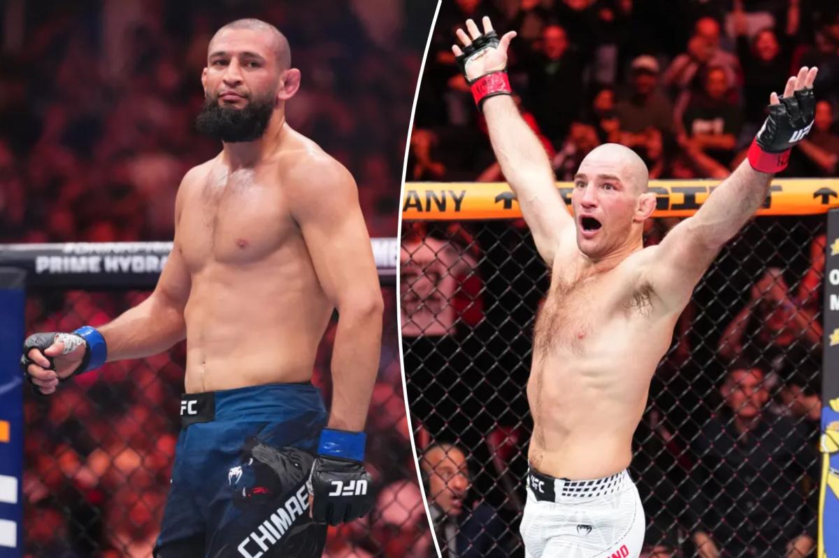 Affrontement sous tension : la police interpelle l'affaire Khamzat Chimaev-Sean Strickland à l'UFC 328 !