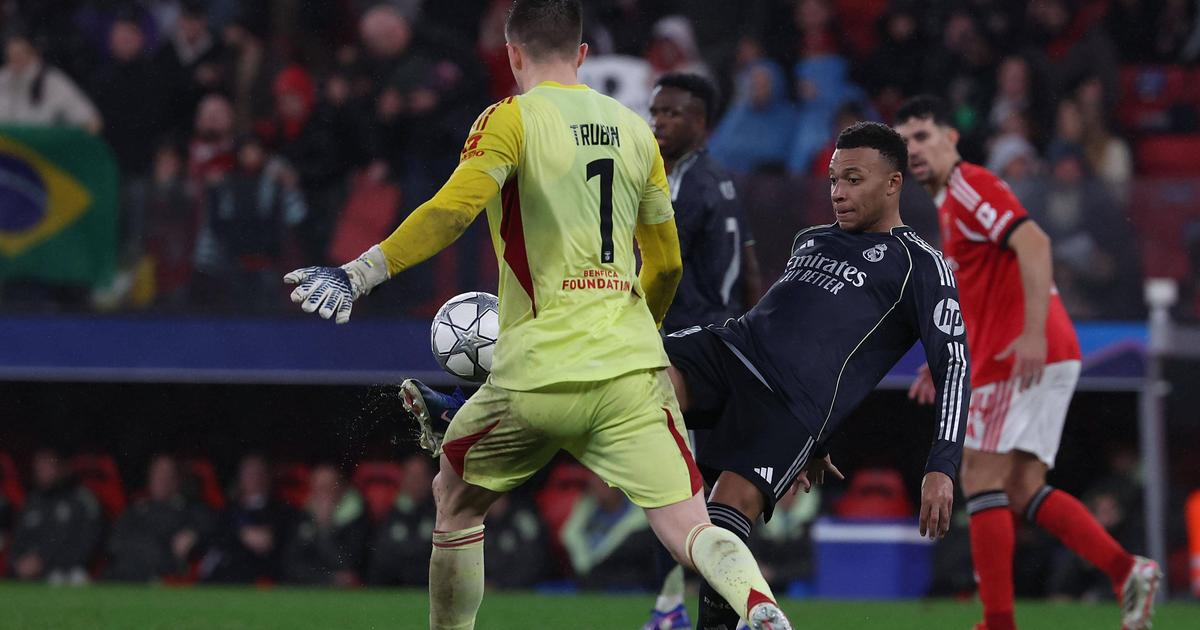 Trubin dévoile le joueur qu'il rêvait de voir au Benfica !
