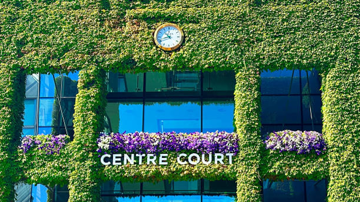 Wimbledon : Qui seront les invités de prestige ? Berrettini, Wawrinka, Dimitrov, Monfils, Chwalinska, Venus Williams…