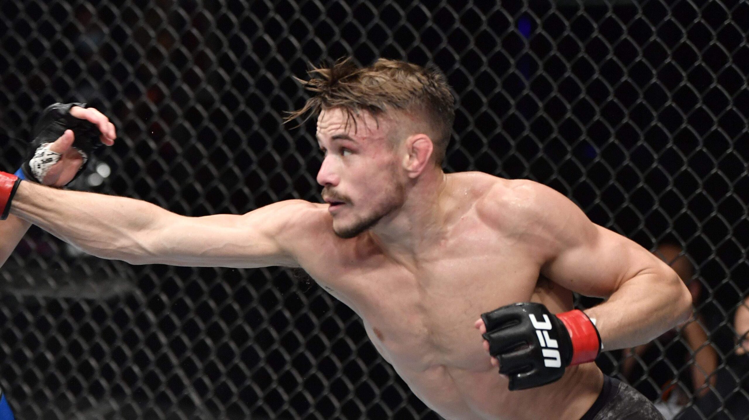 Le chouchou des fans affronte le vainqueur de TUF à l'UFC Paris