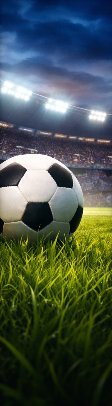 Logo gauche