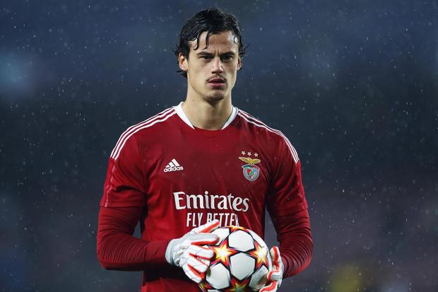 Mile Svilar, au Benfica