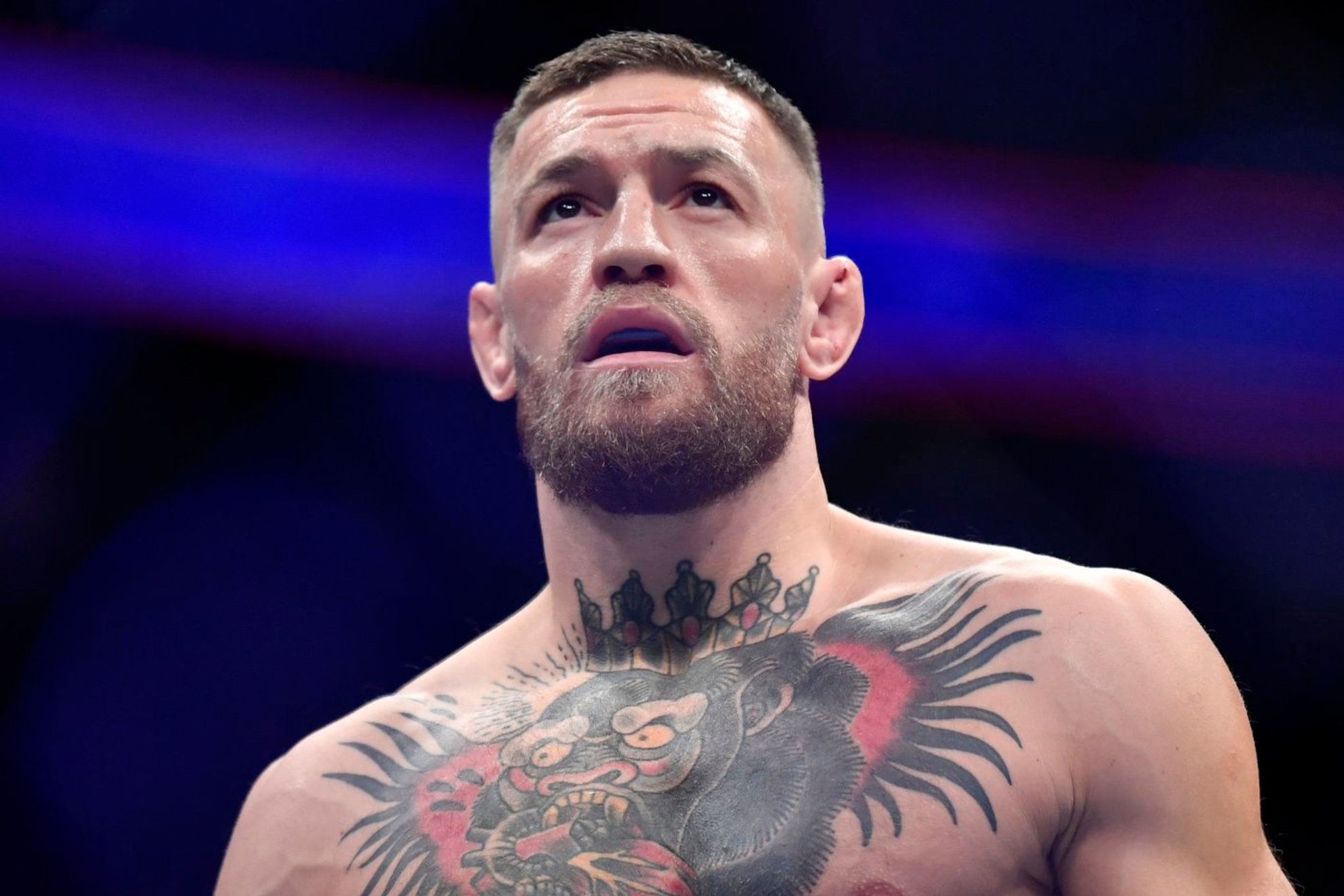 Conor McGregor, image d’archive