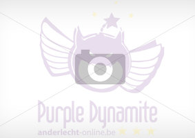 Pas d'image trouvée pour Anderlecht-Online