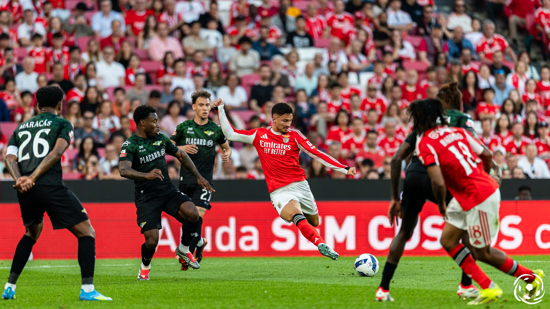 Franjo Ivanovic a tranché : un attaquant du Benfica sur le point de briller en Ligue 1 !