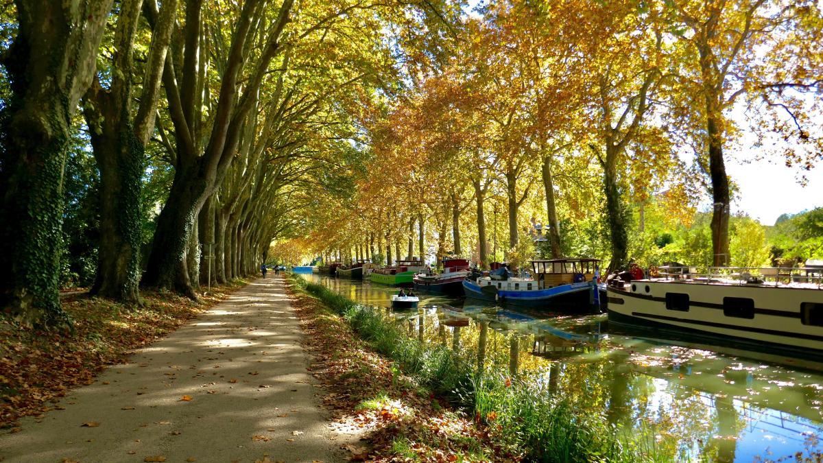 Pédalez le long du Canal du Midi : de Toulouse à la Méditerranée, au fil de l’eau