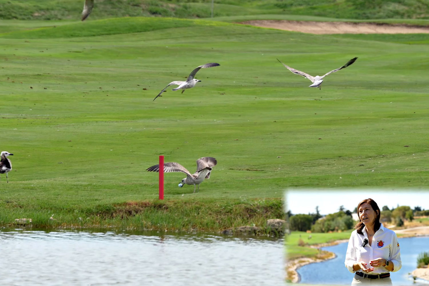 OpenGolf.es