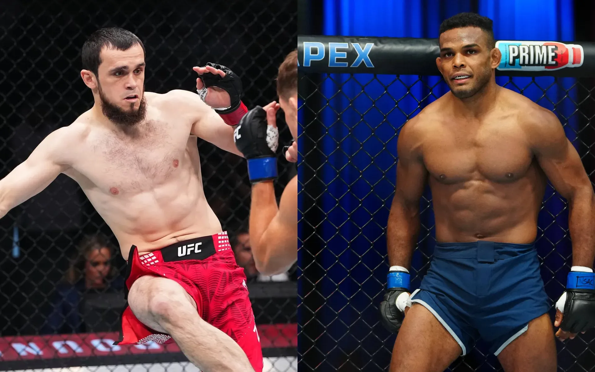 Magomed Zaynukov brise enfin le silence sur l'UFC au Qatar