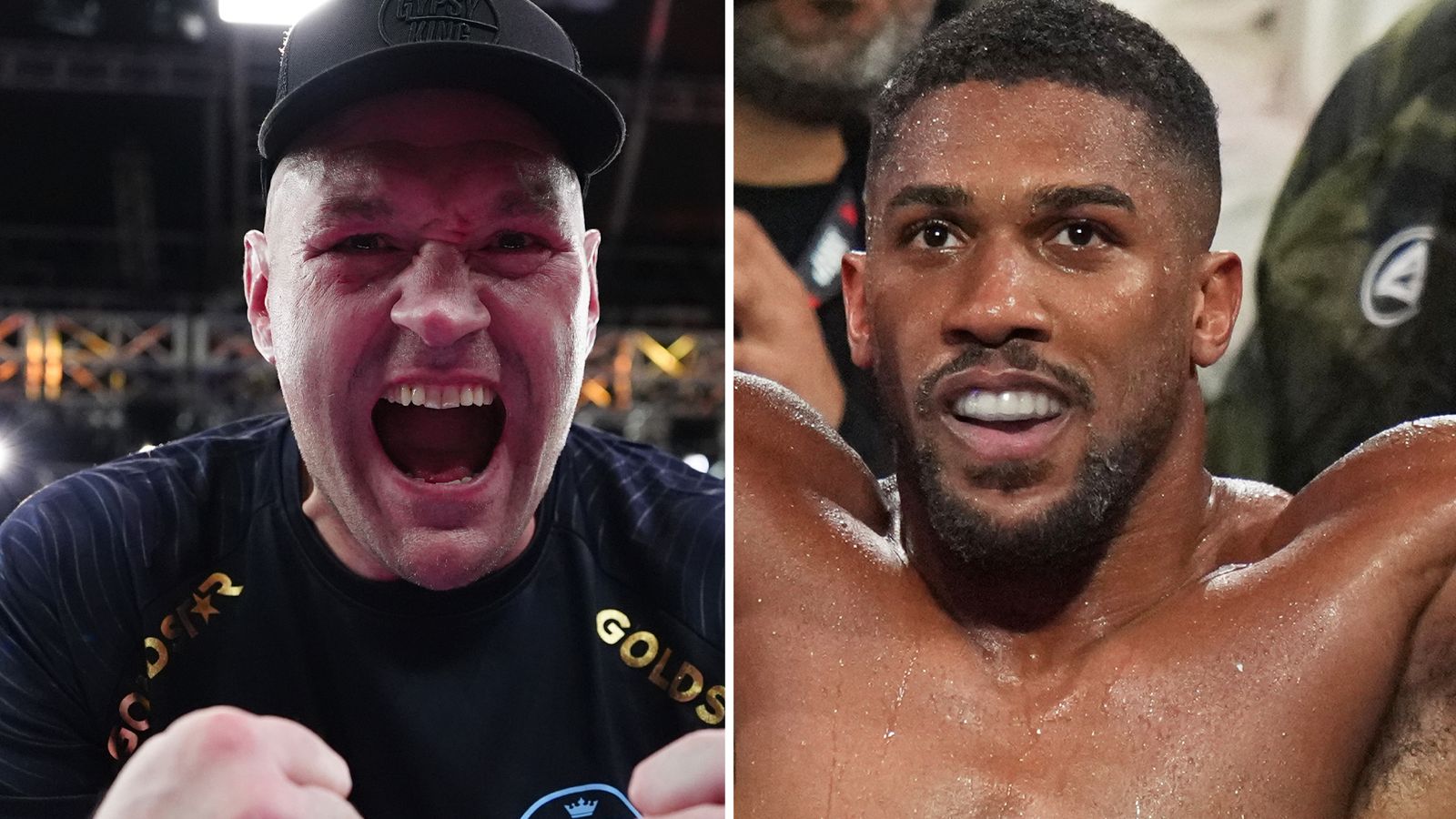 Tyson Fury et Anthony Joshua prêts à se mesurer lors d'une conférence de presse à Londres ce mercredi