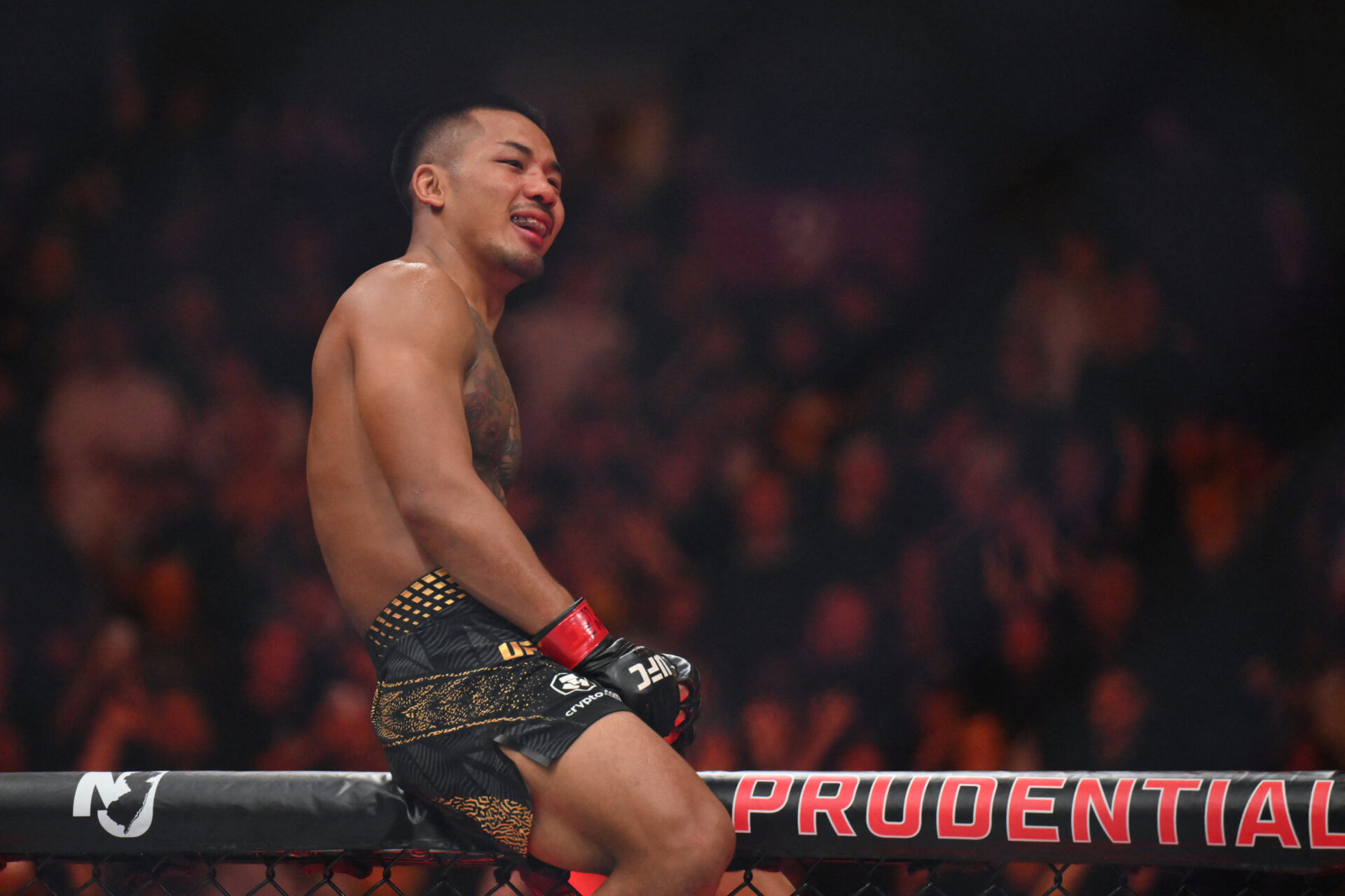UFC 331 : Joshua Van met fin à une nuit marquée par les surprises grâce à une victoire dominante