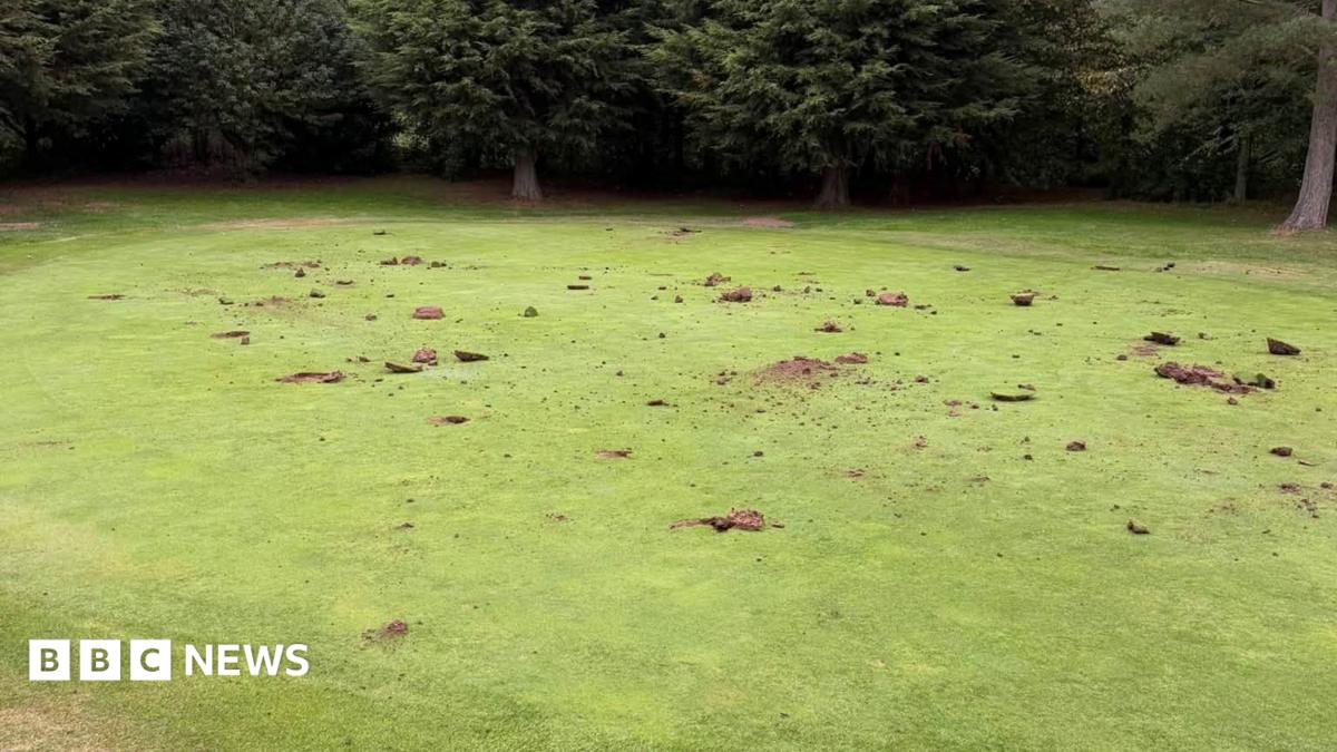 A green at Bondhay Golf Club damaged after it was vandalised