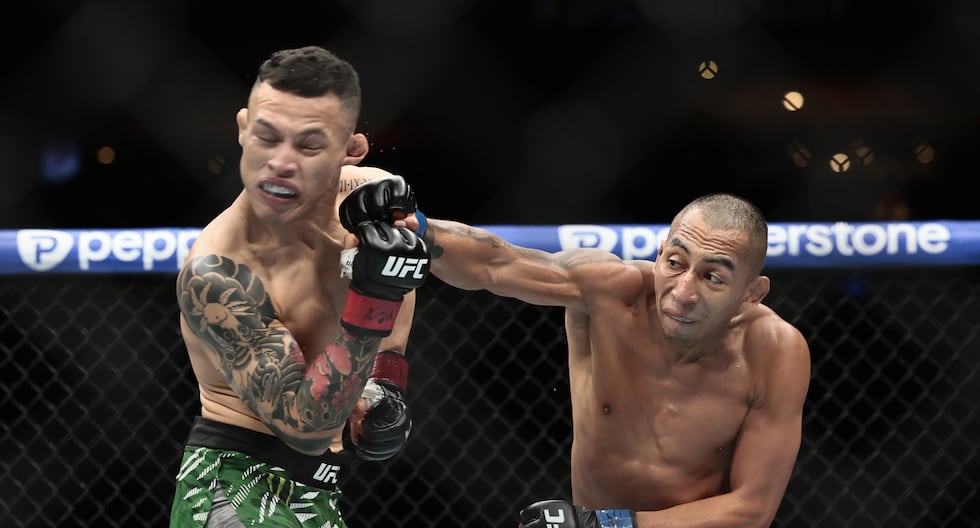 UFC : Combien de combattants y a-t-il dans la ligue des arts martiaux mixtes la plus importante au monde en 2026 ? Liste complète