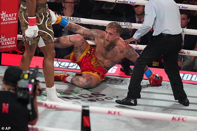 Paul's spirit in modern boxing