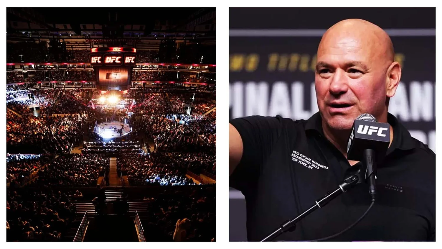 MMA : Une seule promotion, une seule histoire captivante !