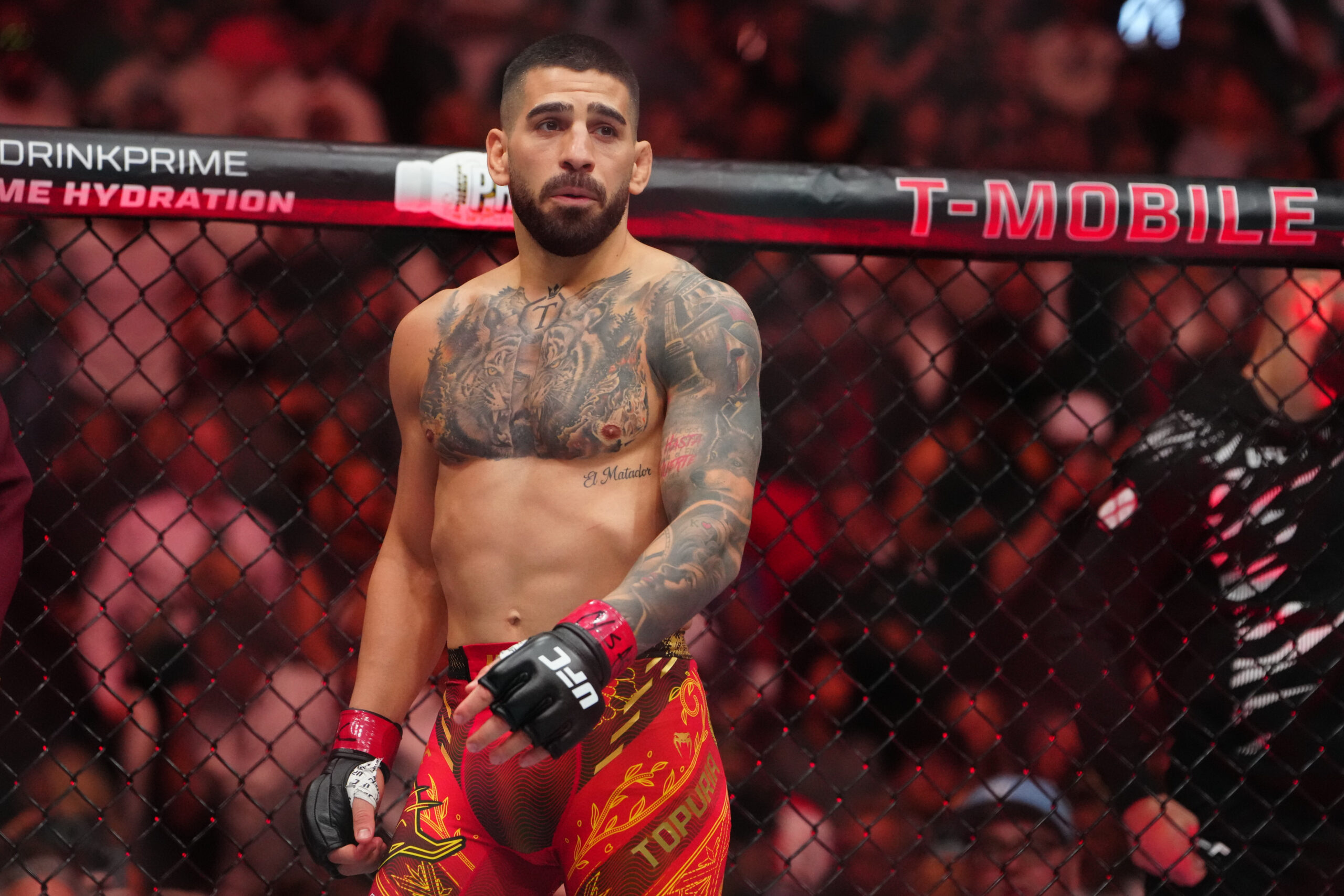 Classements de Pouvoir de l'UFC : Qui S'imposera à Vegas pour l'UFC 324 ?