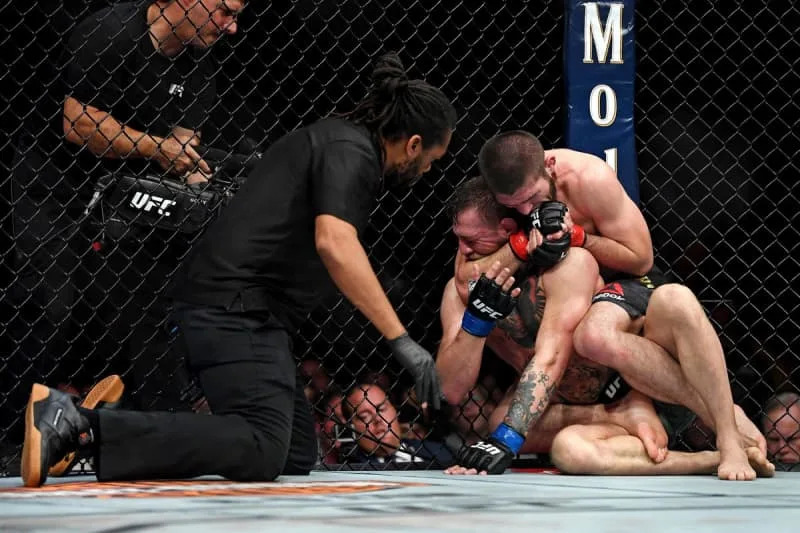 UFC 229