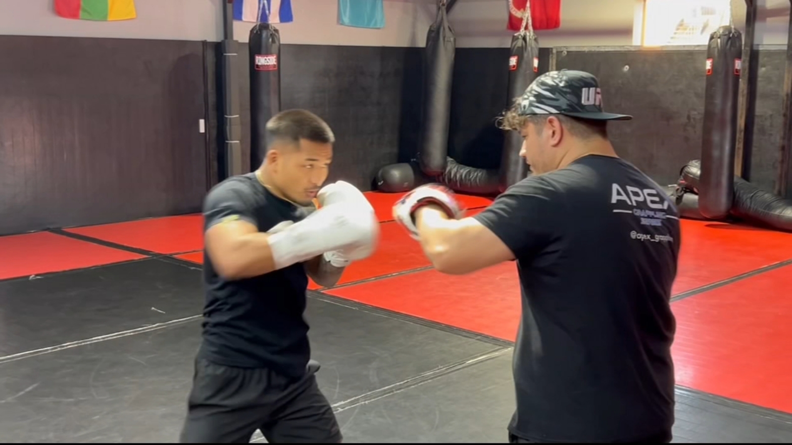 Joshua Van, champion des poids mouches de l'UFC à Houston, raconte son incroyable parcours dans le monde des arts martiaux !