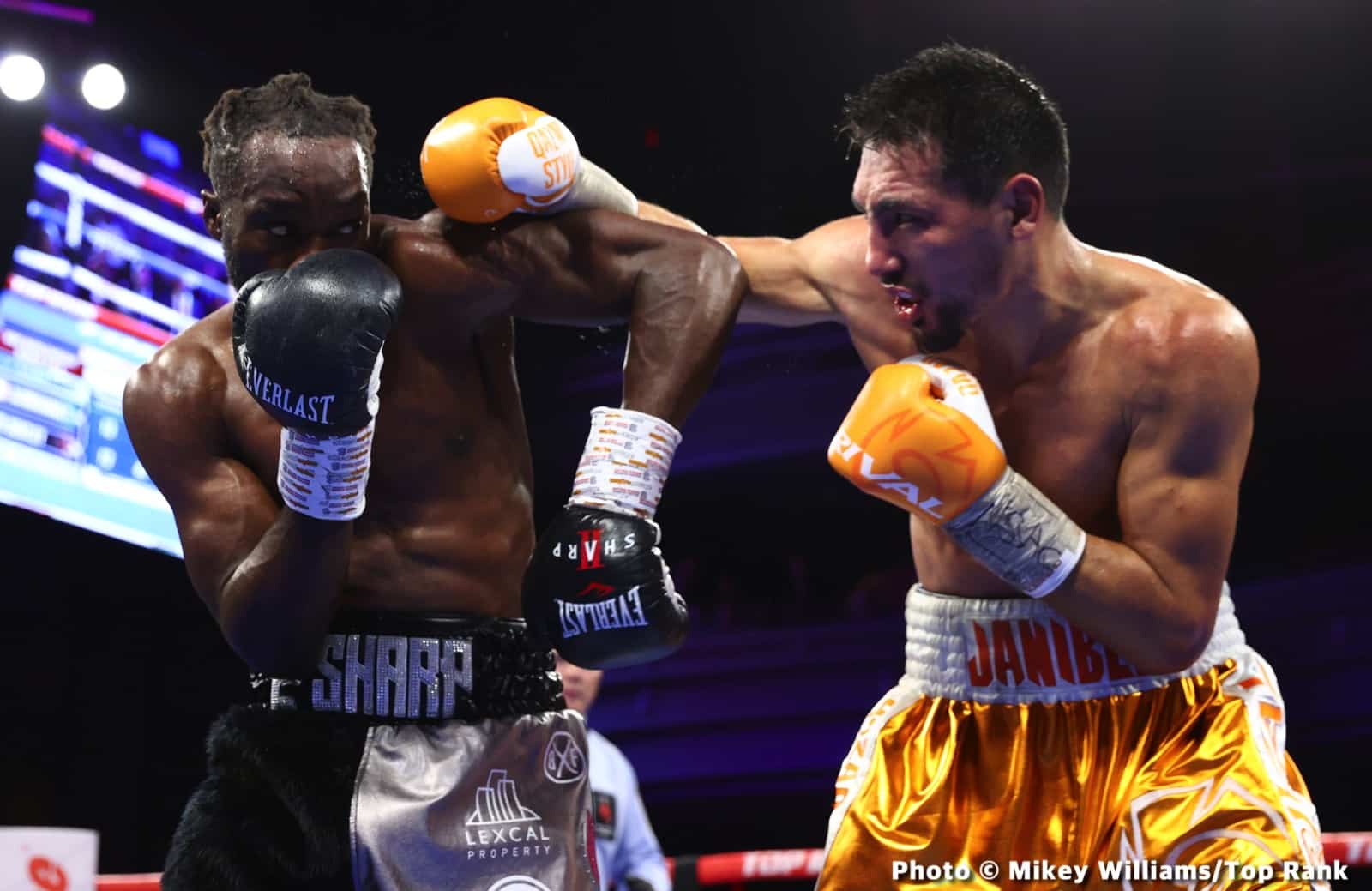 Janibek Alimkhanuly conserve sa ceinture WBO après la décision de l'IBF !