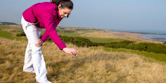 Curso Intensivo de Reglas de Golf 2026