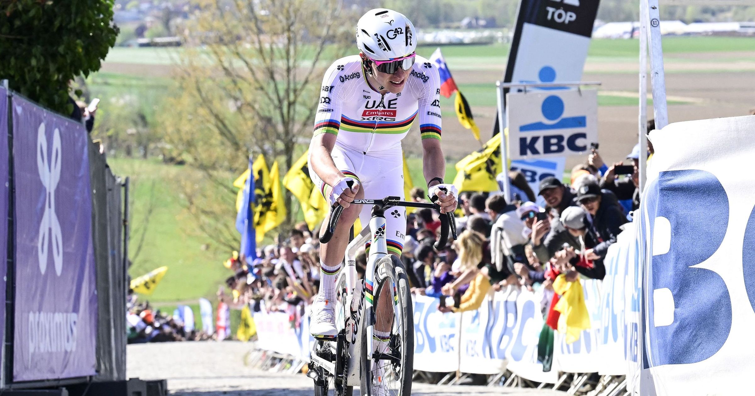 Équipe du UAE Emirates révélée pour le Tour de Flandres 2026 : Tadej Pogacar en quête de sa troisième victoire et d'un douzième Monument !