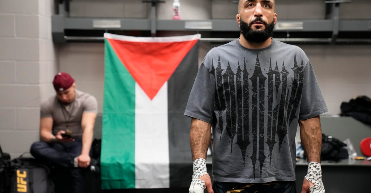 Aperçu de UFC Vegas 118 : Prédictions captivantes pour Belal contre Bonfim et le co-main event !